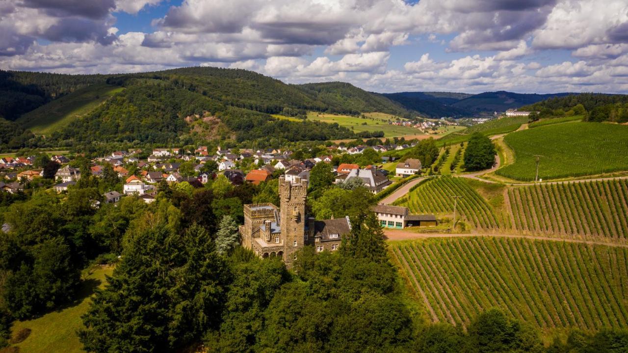 Vila Saar Castle - Cozy Mansion Near Vineyard Serrig Exteriér fotografie