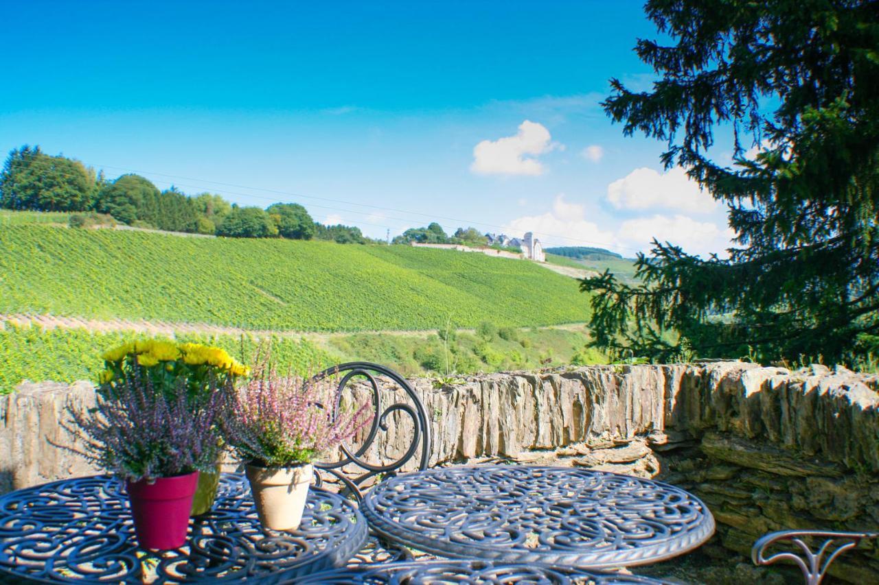 Vila Saar Castle - Cozy Mansion Near Vineyard Serrig Exteriér fotografie